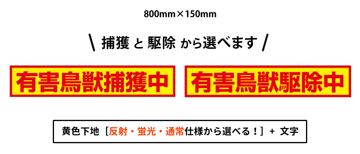 有害鳥獣捕獲中マグネット