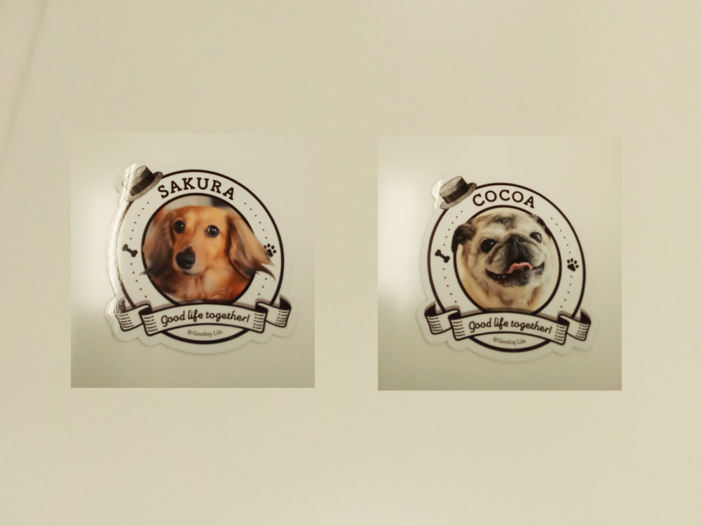 ペット写真マグネット