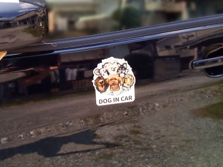DOG IN CARマグネット