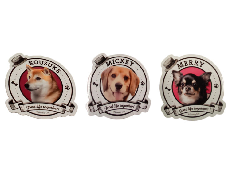 ペット写真マグネット